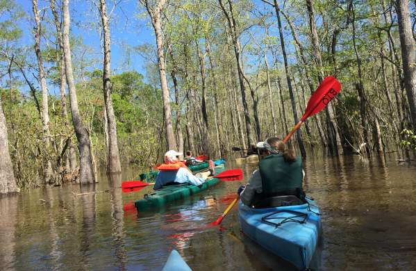 Two people kayaking through Big Thicket National Preserve near Beaumont, TX