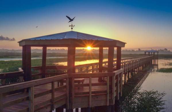 Cattail Marsh Boardwalk