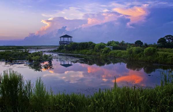 Creole Nature Trail