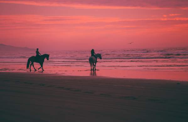 Horseback Riding Beach