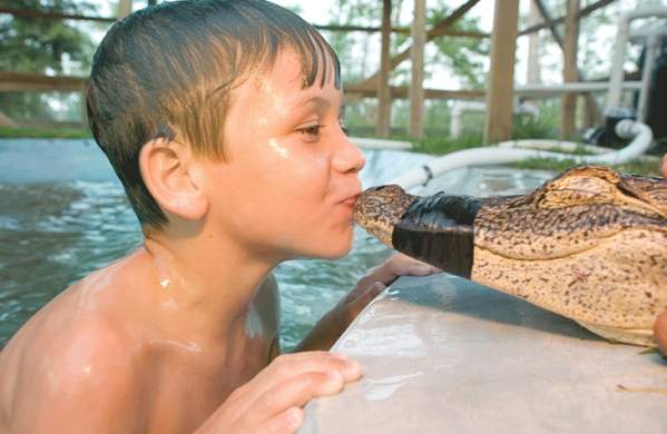 Greet a Gator