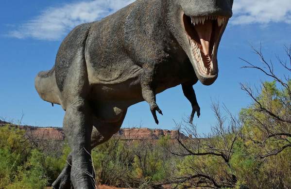Moab Giants Dinosaur Museum