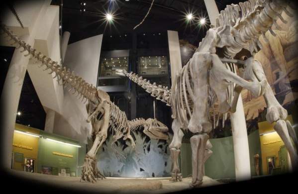 Norman OK Sam Noble Mus of Nat History