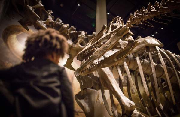 SamNobleMuseum-Exhibits