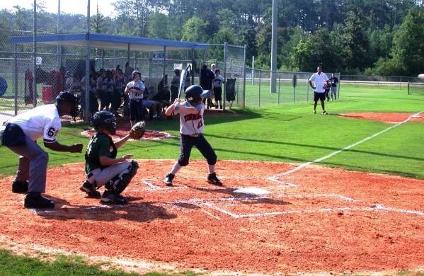 Pelican Park Batter