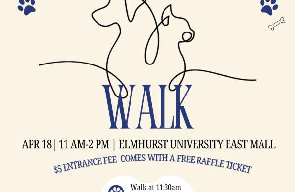 Canine Care Walk
