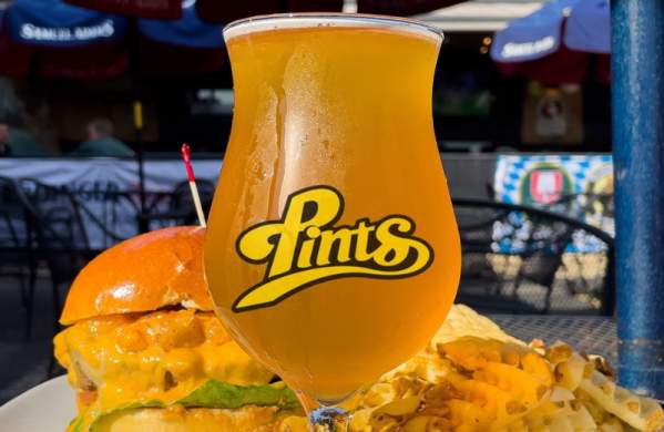 Elmhurst Craft Beer Fest Ticket Pre-Sale Party