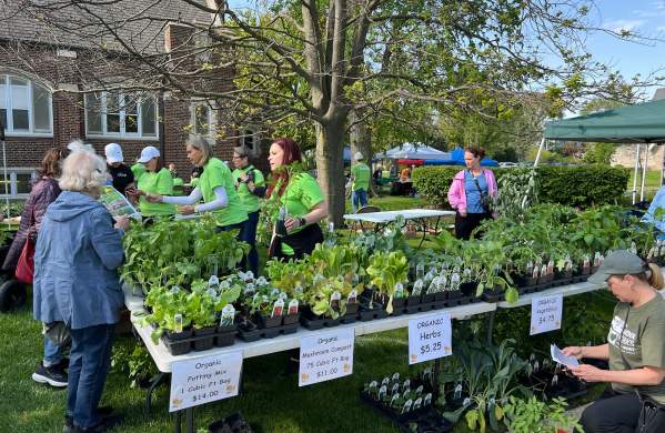 Green Garden Fair