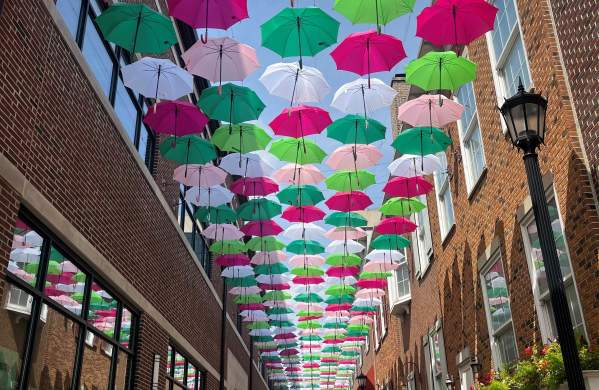 Umbrella Sky Elmhurst 2026