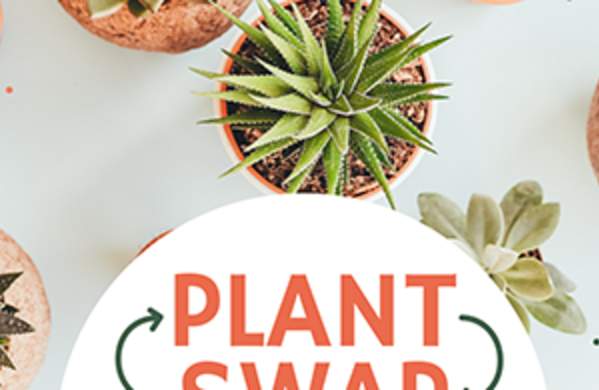 Plant Swap