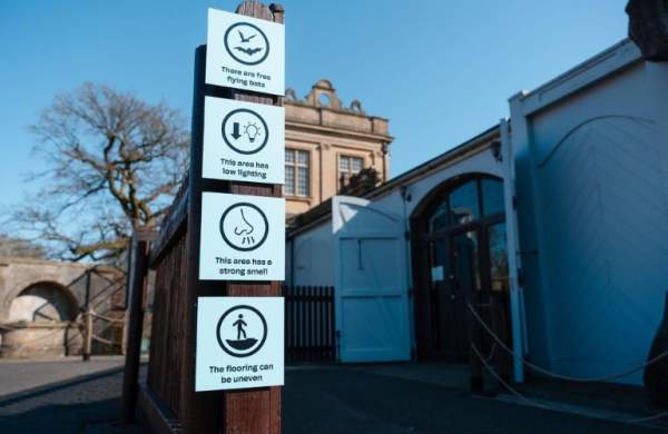 Accessibility Case Study - Longleat - Bat Enclosure Sensory Signs