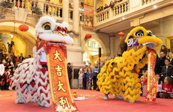 Bristol Museum & Art Gallery - Lunar New Year Pandas Lion Dance