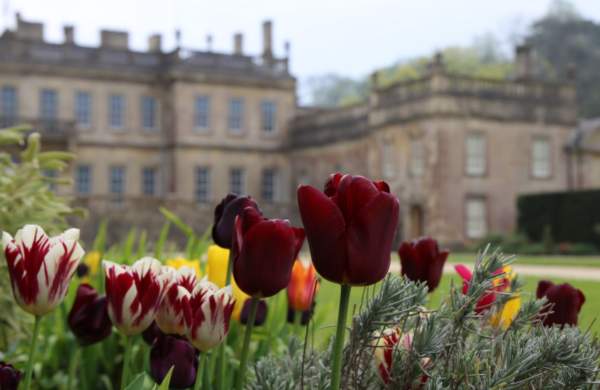Dyrham Park Avenue