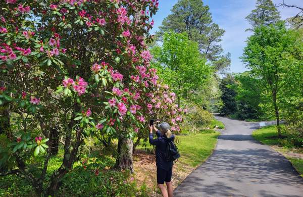 7 Reasons to Love Spring on Cape Cod