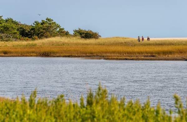 10 Great Cape Cod Hikes off the Beaten Path