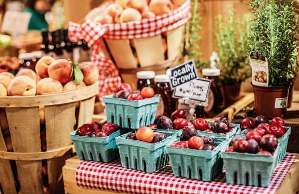 Best Fall Farmers' Markets on Cape Cod