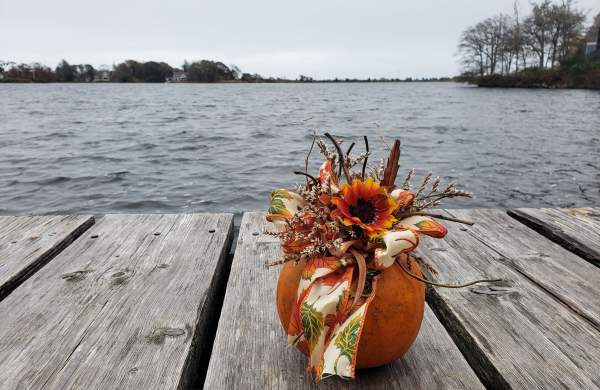 4 Great Ways to Experience Harvest Season on Cape Cod
