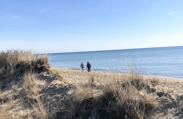 Best Bets for January on Cape Cod