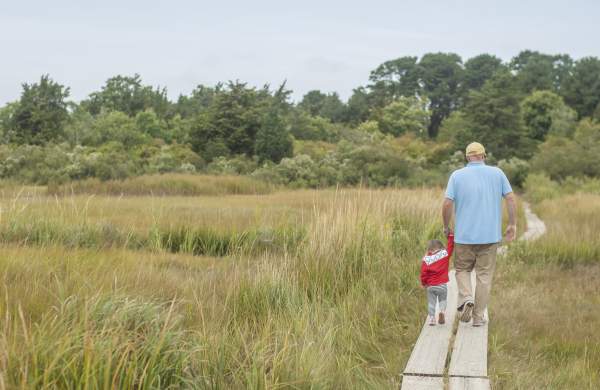 Great Autumn Walks