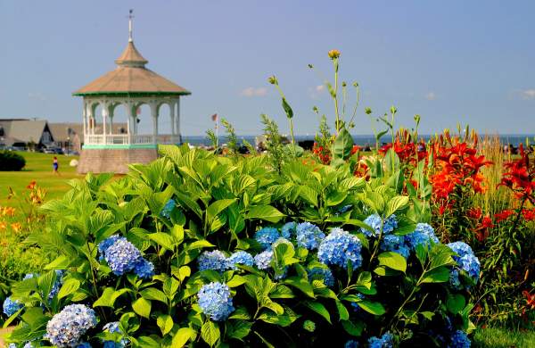 48 Hours on Martha's Vineyard
