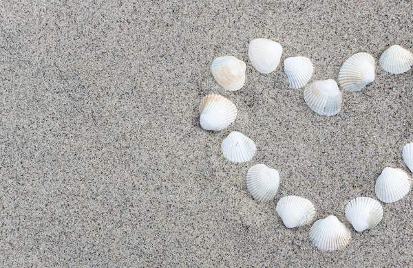 Love Is In the Air: Valentine's Day on Cape Cod