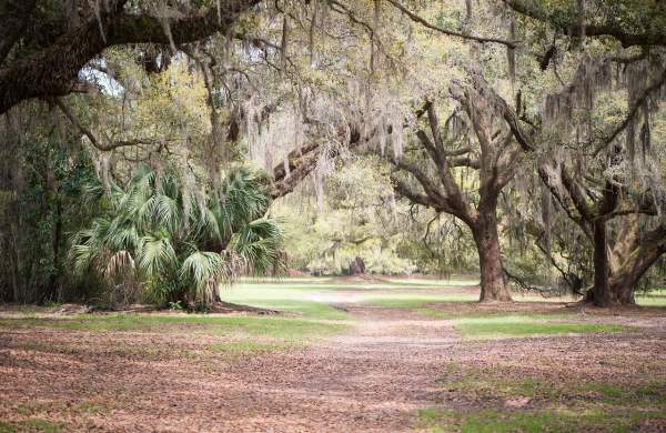 Johns Island County Park Rental