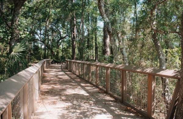 Nature Stewardship Fund