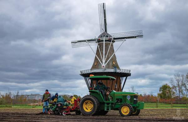 Tulip Planting at WIG