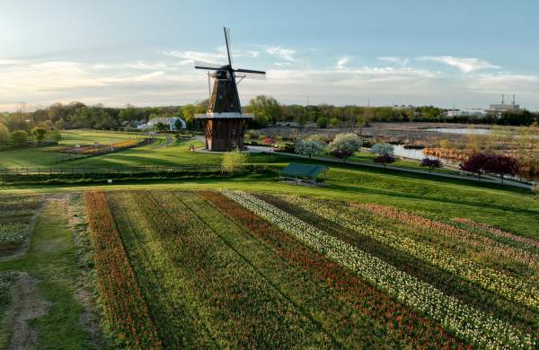 Windmill Island Tulip Time