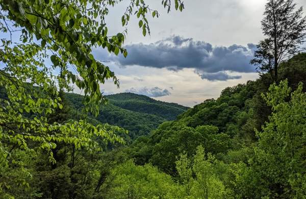View along the Thousand Steps - Standing Stone Trail