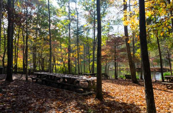 Take a winter hike on the Madison County Nature Trail on Green Mountain