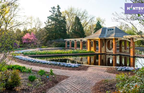 Huntsville Botanical Garden Zoom Backdrop