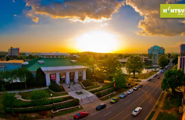 Museum of Art Zoom Backdrop