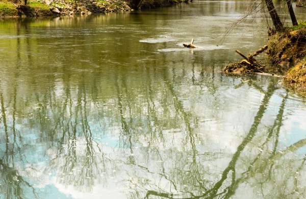 Hays Nature Preserve is Accessible to All