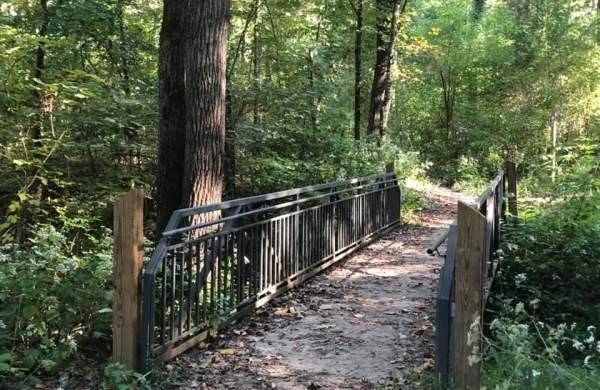 Wheelchair-Friendly Hikes in Huntsville: Chapman Mountain