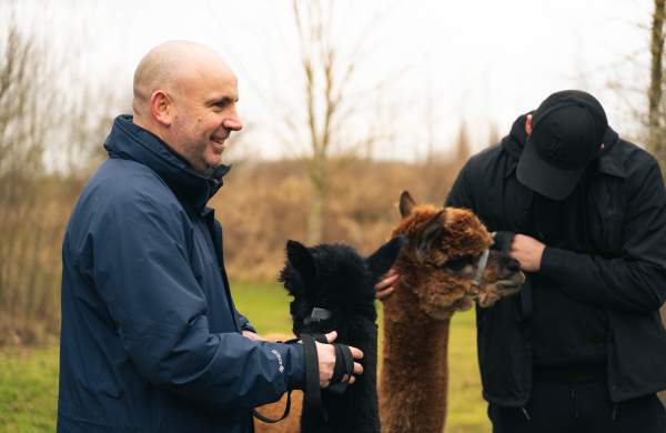 two men stood walking alpacas