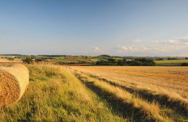 A landscape of fields in Lincolnshire with a hay bale in the foreground under blue skies