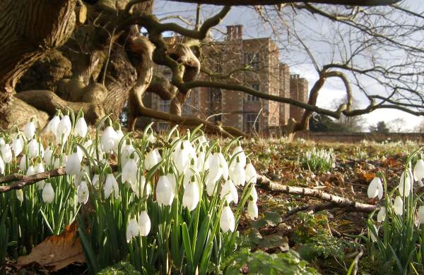 Snowdrop walks in Lincolnshire