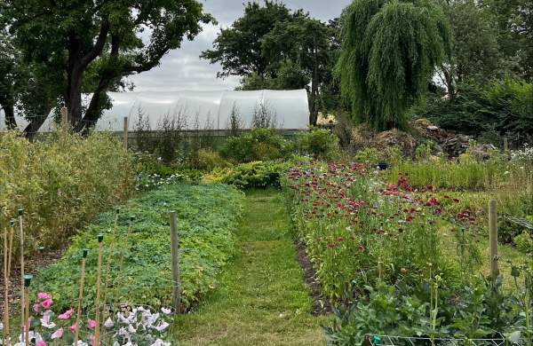 Picking Your Own at The Lincolnshire Flower Co.