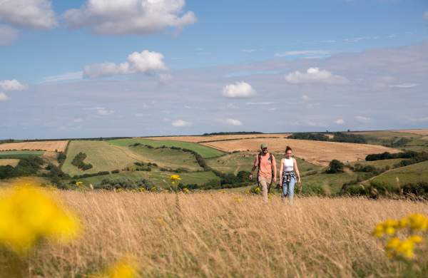 Two people walking in a field with rolling hills in the background