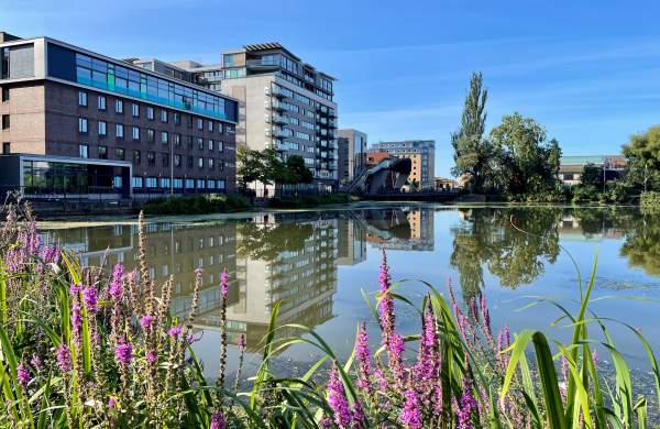 A view of the Brayford Waterfront, with a reflection of modern buildings in the water