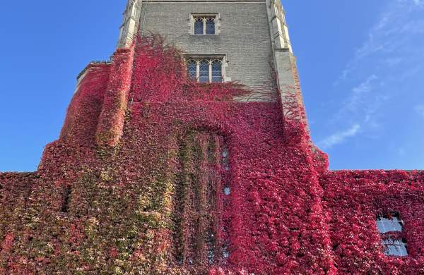 Going Green at The Pitt Building