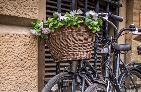 A pair of bicycles one with a basket of flowers against a wall in Cambridge.