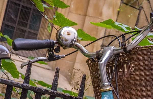 A bicycle against a railing with foliage in Cambridge.