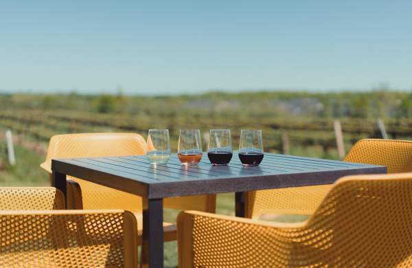 Wine tasting cups