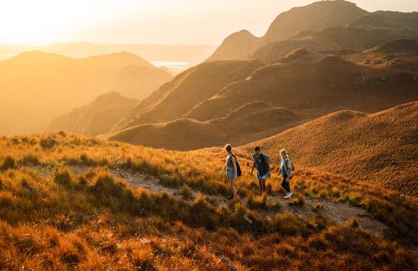 Friends walking through the yellow trail of Cerro Chame
