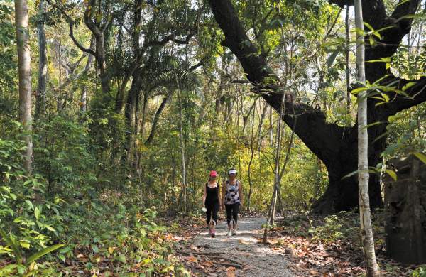 People walking on a trail at Metropolitan Natural Park in Panama City