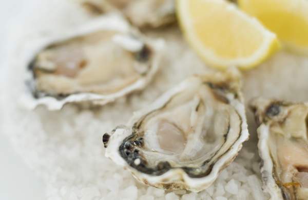 Oysters