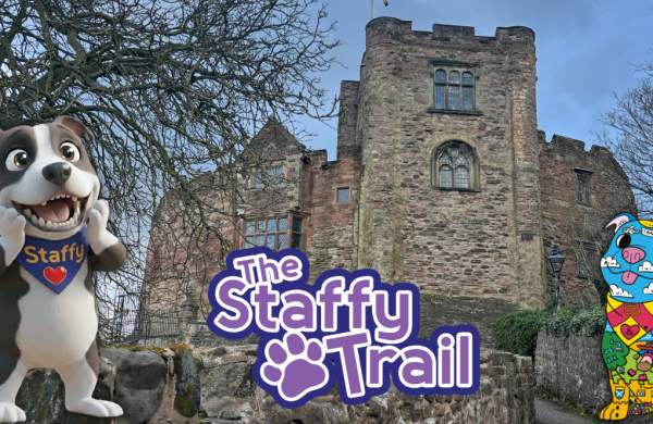 Spotlight on Staffy Trail in Tamworth