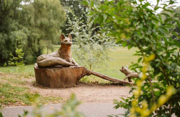 A wood statue of a fox in Singleton Park